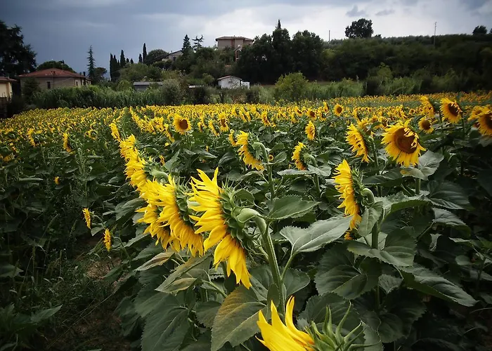 Podere La Capacciola