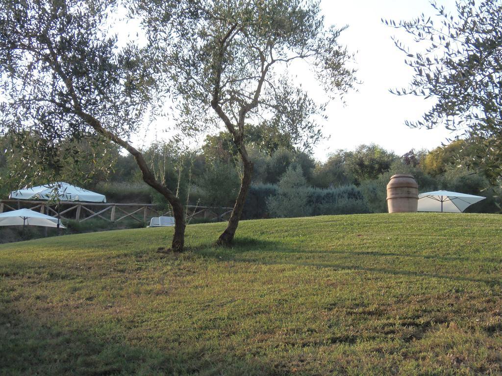 Podere La Capacciola * Sinalunga