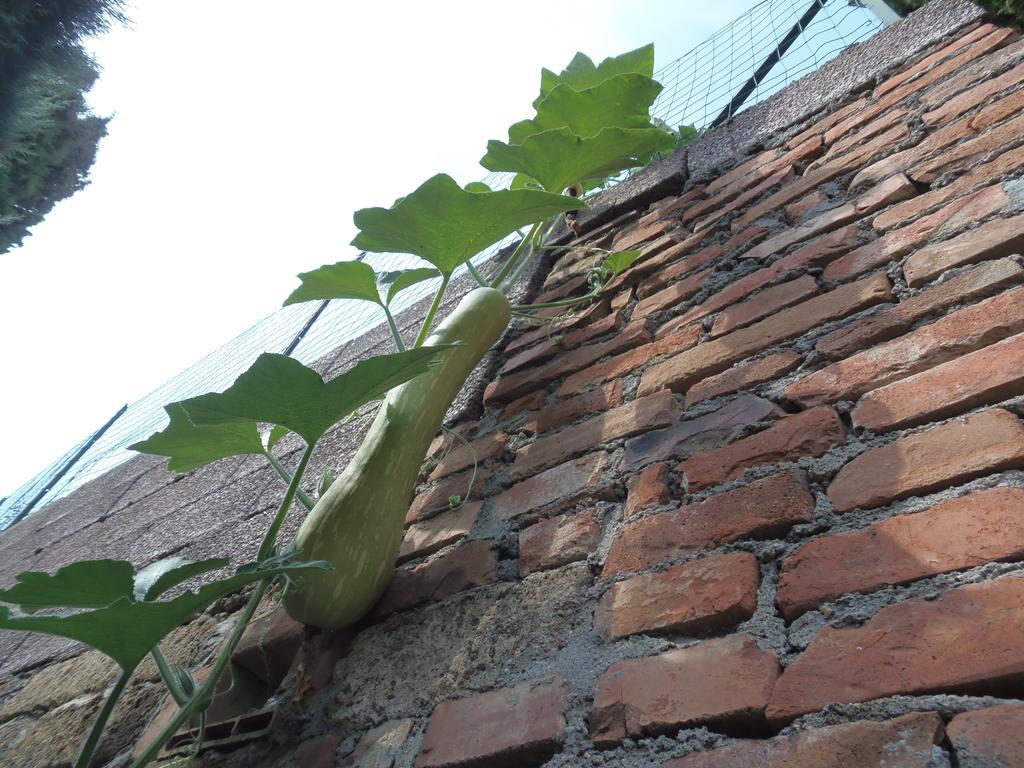Farm stay Podere La Capacciola